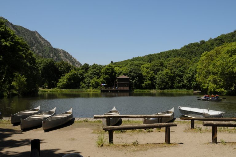 Boats For Summer Camp