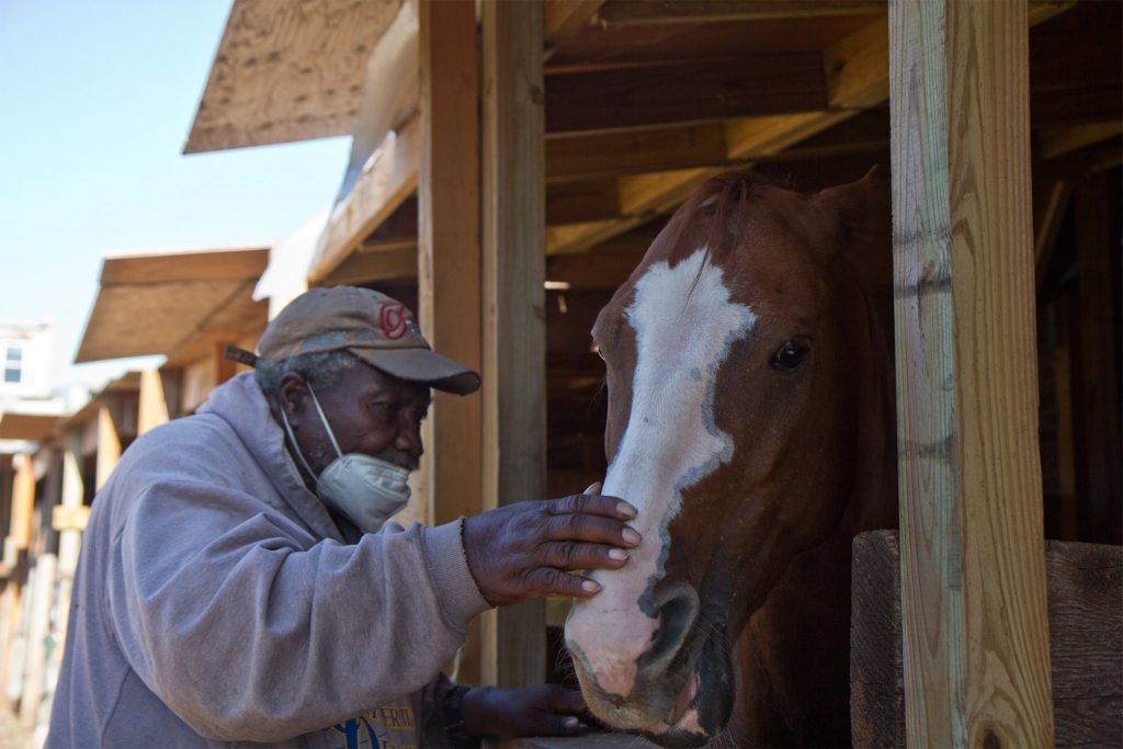 fletcherstreetstables-kimpaynter07 Ellis Ferrell, 81, founder of the Fletcher Street Urban Riding Club, feeds a mint to a horse called “El Dog.