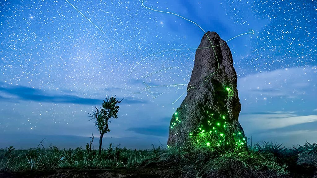 Earth at Night in Color