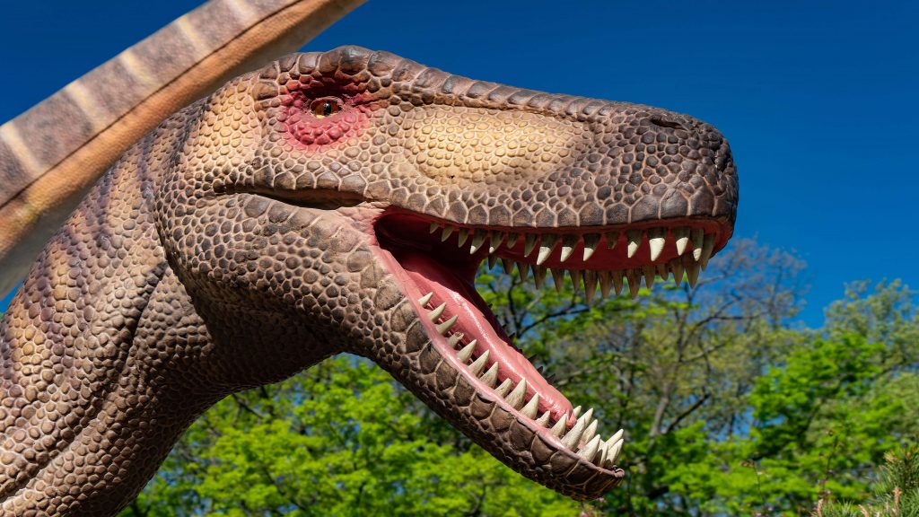 phillyzoo-dinosaursbigtime-25 (Mark Henninger/Imagic Digital)