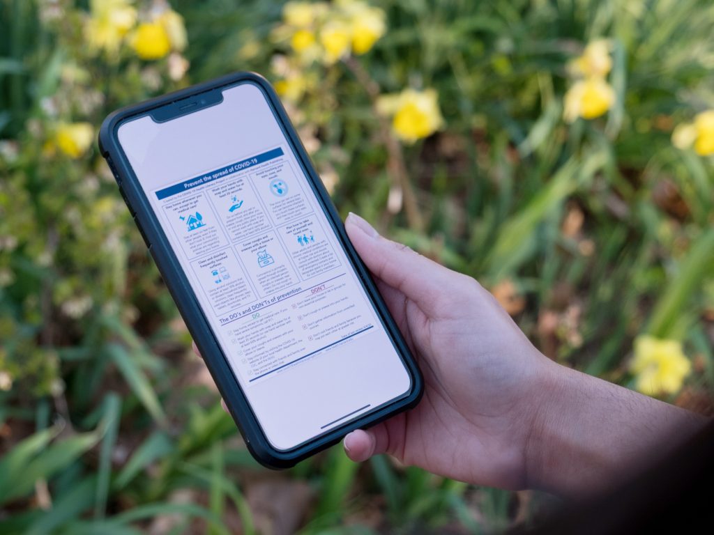 A person holds a phone, the screen of which shows a COVID-19 fact sheet