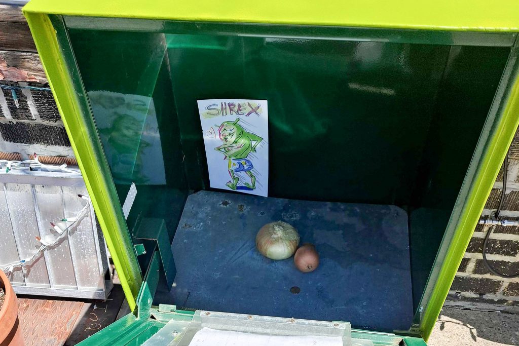 'Take a Shrek, leave a Shrek' on South 7th Street (Ximena Conde/WHYY)