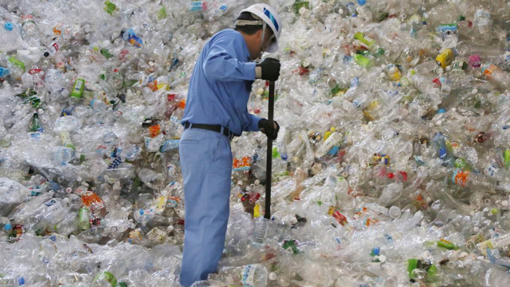 AP_plastic_recycling_062221 A plastic recycling company worker sorts out plastic bottles