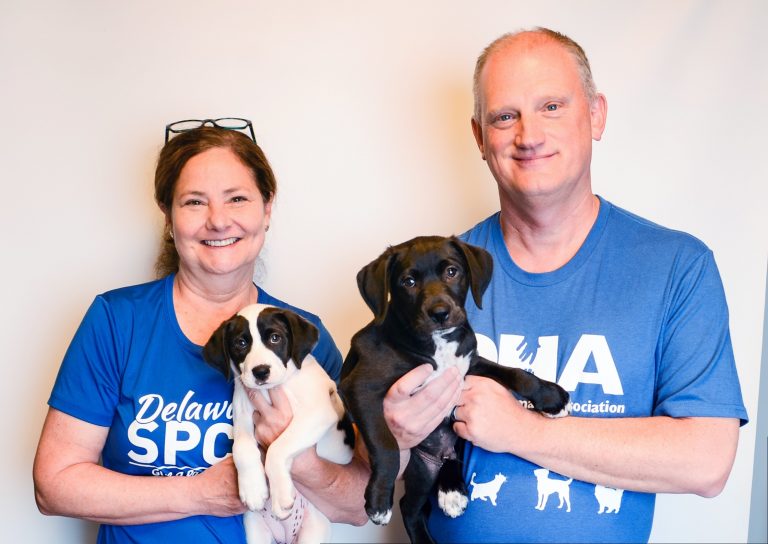Anne Cavanaugh holds a white dog while wearing a Delaware SPCA T-shirt, while Patrick Carroll holds up a black dog while wearing a DHA T-shirt