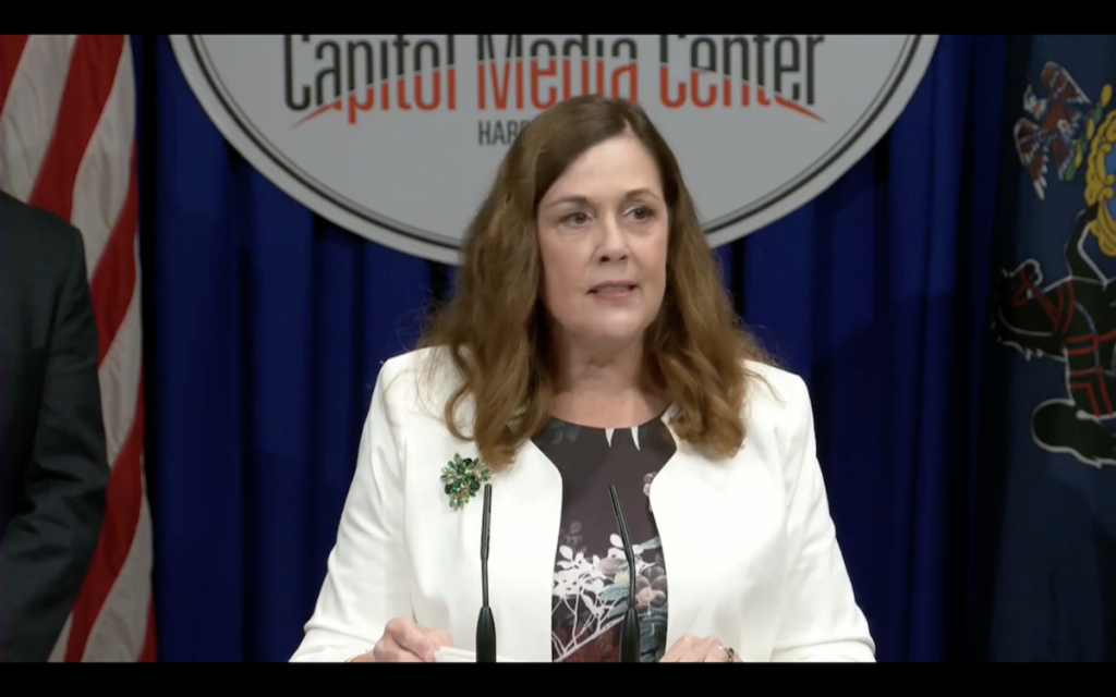 State Sen. Lisa Baker at press conference unveiling the task force recommendations (Screenshot via her offices’ live stream) State Sen. Lisa Baker