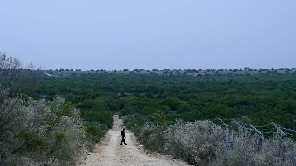A Border Patrol agent walks along a dirt road near the U.S.-Mexico border, in Roma, Texas, in May. A Border Patrol agent walks along a dirt road near the U.S.-Mexico border, in Roma, Texas, in May. (Gregory Bull/AP)