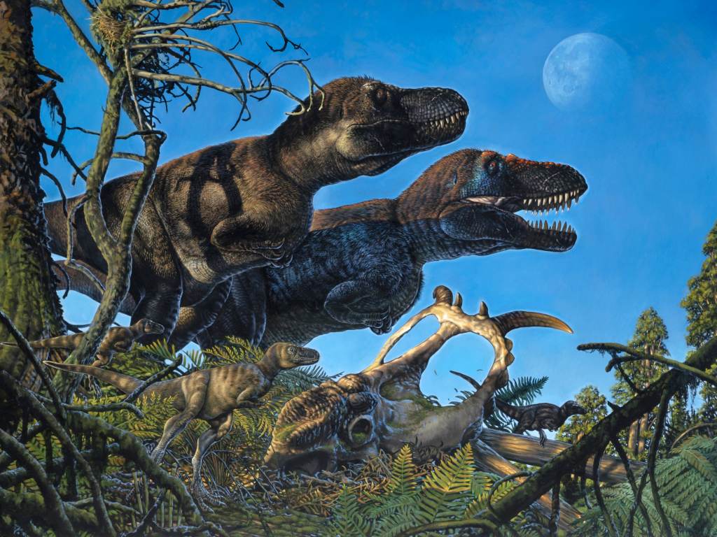 An illustration shows a pair of adult tyrannosaurs and their young living in the Arctic during the Cretaceous Period. (James Havens /Courtesy University of Alaska Fairbanks)