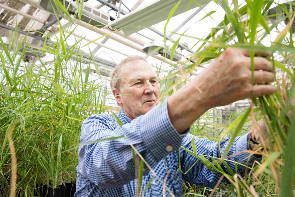 Ed Guinan, a professor of astrophysics and planetary sciences at Villanova University, has been experimenting to see what could grow on Mars. (Courtesy of Ed Guinan)