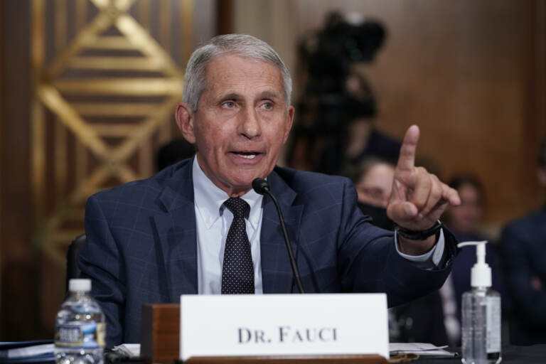 Dr. Anthony Fauci gestures while speaking before the Senate Health, Education, Labor, and Pensions Committee