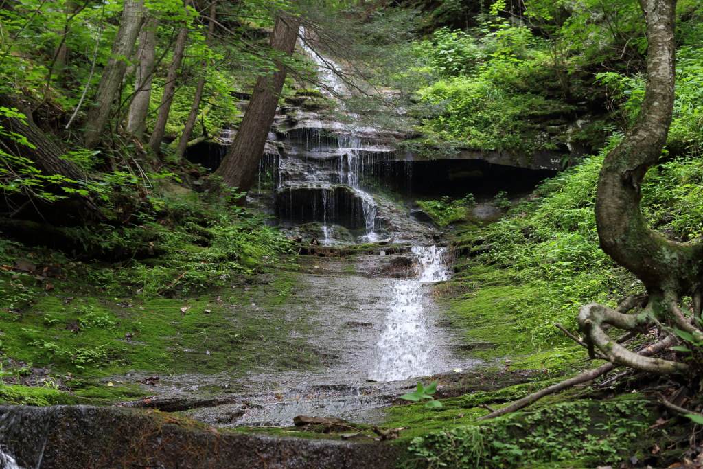colton_point_state_park_PADCNR_071121 The lowest parts of Turkey Path Trail are along a series of waterfalls at Colton Point State Park.