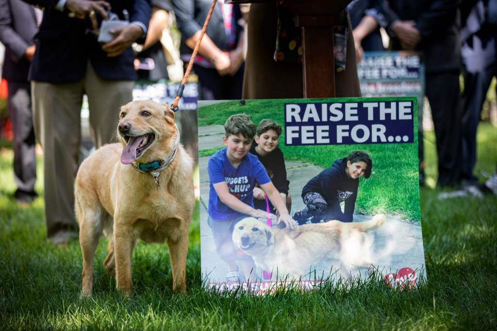 Levi Fetterman stands by a sign advocating for raising the licensing fee paid by dog owners