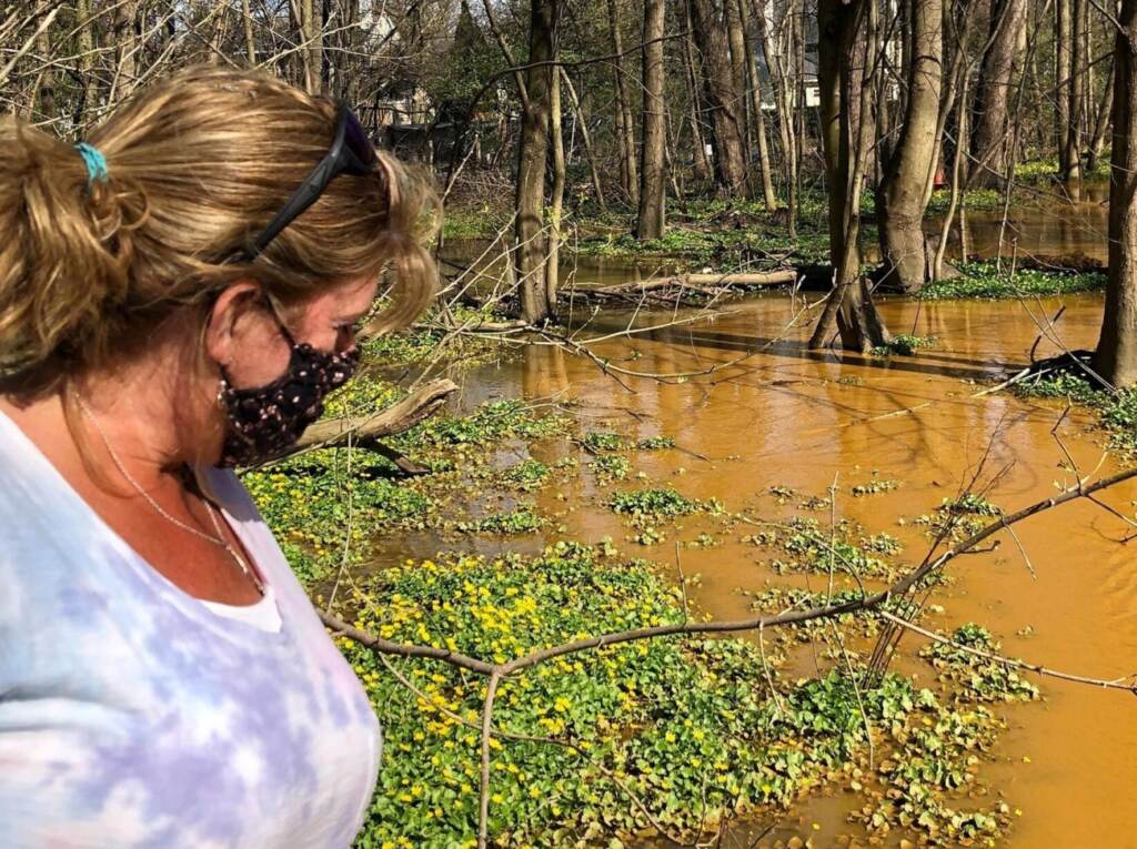 meadowbrook-sunoco-mariner-east-2-creek-1439×1920 Libby Madarasz, a resident of Meadowbrook Manor, surveys the damage caused by Sunoco’s Mariner East 2 pipeline construction. (Susan Phillips / StateImpact Pennsylvania)