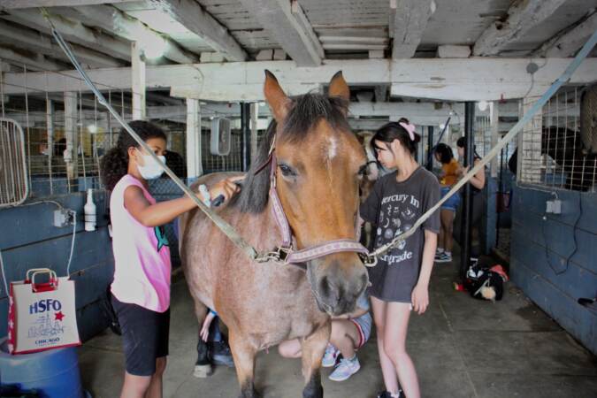 Students at Music and Mindfulness camp at Fox Crossing stables groom horses