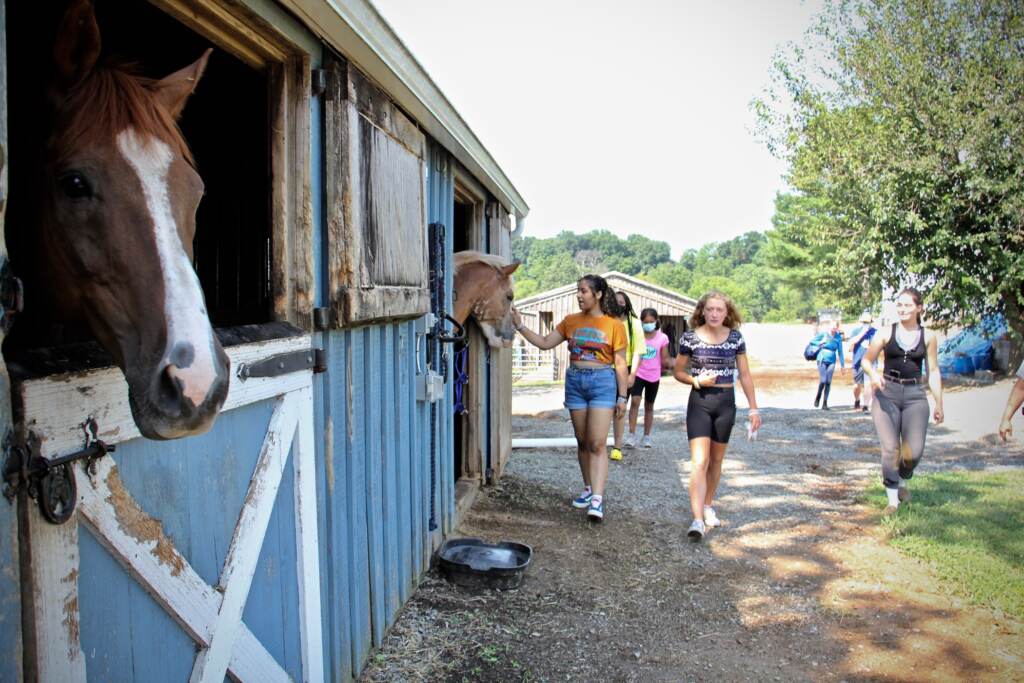 A horse is pictured in their stable, with students visible in the background