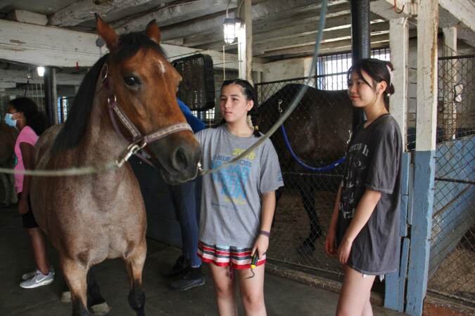 Violinists Nancy Li (left) and Kera McCarthy take turns grooming a horse