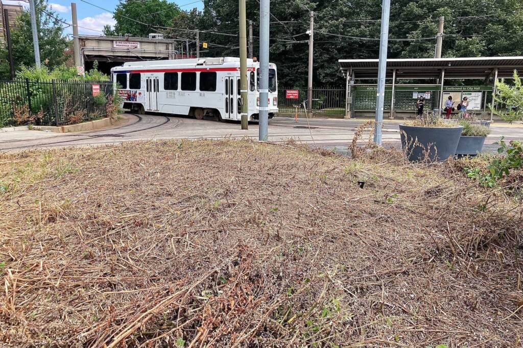 40th_street_trolley_garden_EL_080521_01 A razed pollinator garden at the 40th Street trolley portal