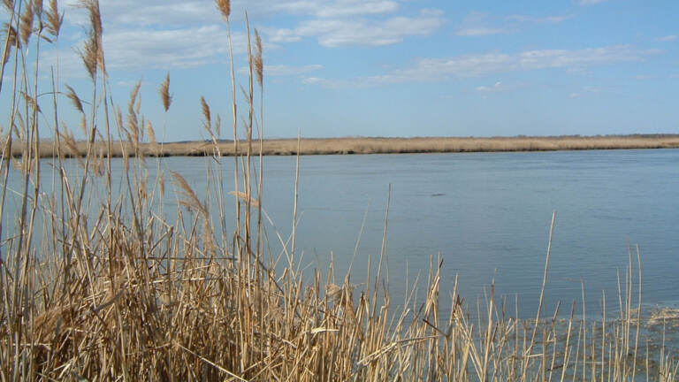 The Maurice River in New Jersey.