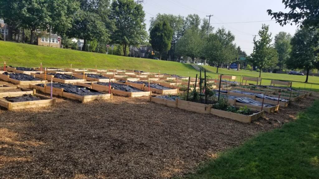 Woodchips layed Woodchips surround the garden plots to keep out weeds at the Norristown Sprouts Community Garden. (Montgomery County Office of Public Health)