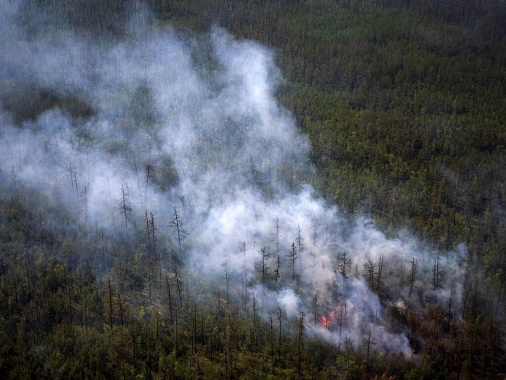 This aerial photo taken from an airplane on July 27 shows smoke rising from a forest fire outside the village of Berdigestyakh in Russia's Sakha Republic in northeastern Siberia. (Dimitar Dilkoff/AFP via Getty Images)