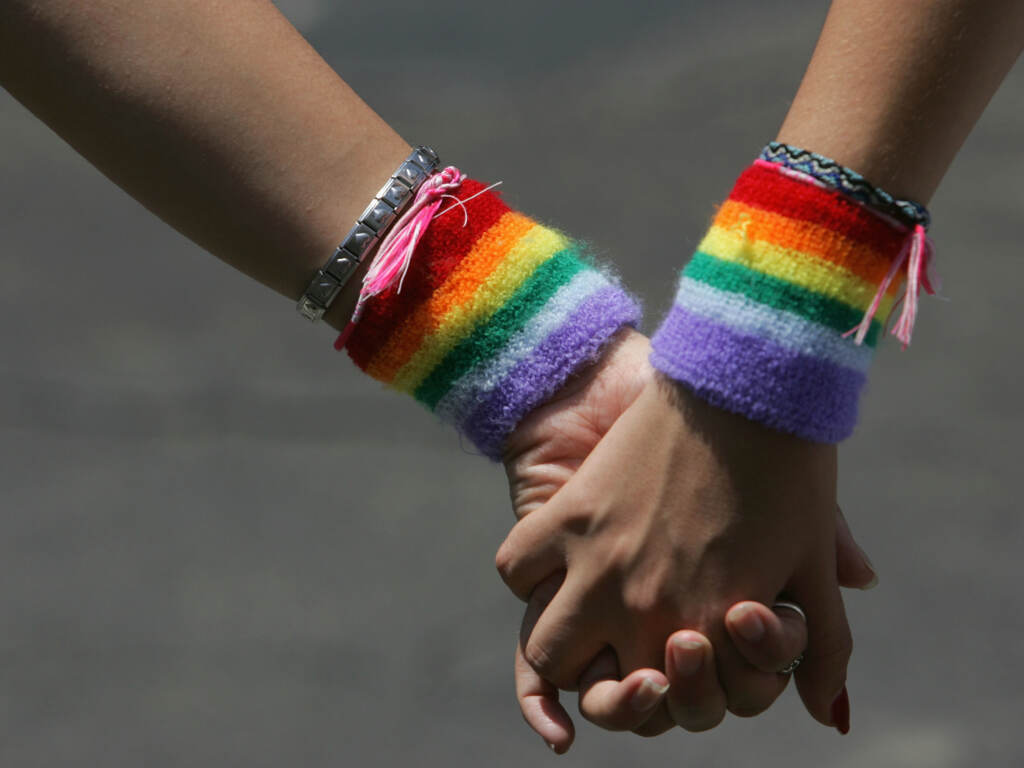 A lesbian couple hold hands during the annual Gay Pride rally, on June 8, 2007. Recent survey data shows that LGBTQ adults in the U.S. are more likely to report higher rates of food and economic insecurity. A lesbian couple hold hands during the annual Gay Pride rally, on June 8, 2007. Recent survey data shows that LGBTQ adults in the U.S. are more likely to report higher rates of food and economic insecurity. (David Silverman/Getty Images)