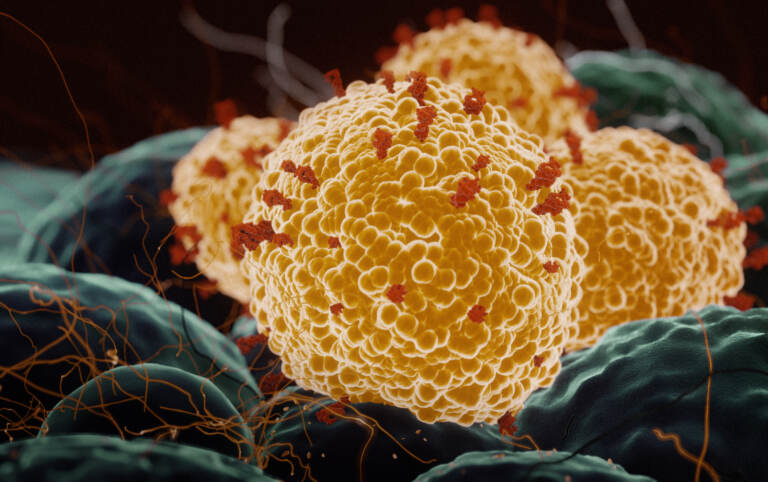 Researchers at the University of Texas Medical Branch are helping to test the Pfizer-BioNTech COVID-19 vaccine against coronavirus variants. (Joao Paulo Burini/Getty Images)