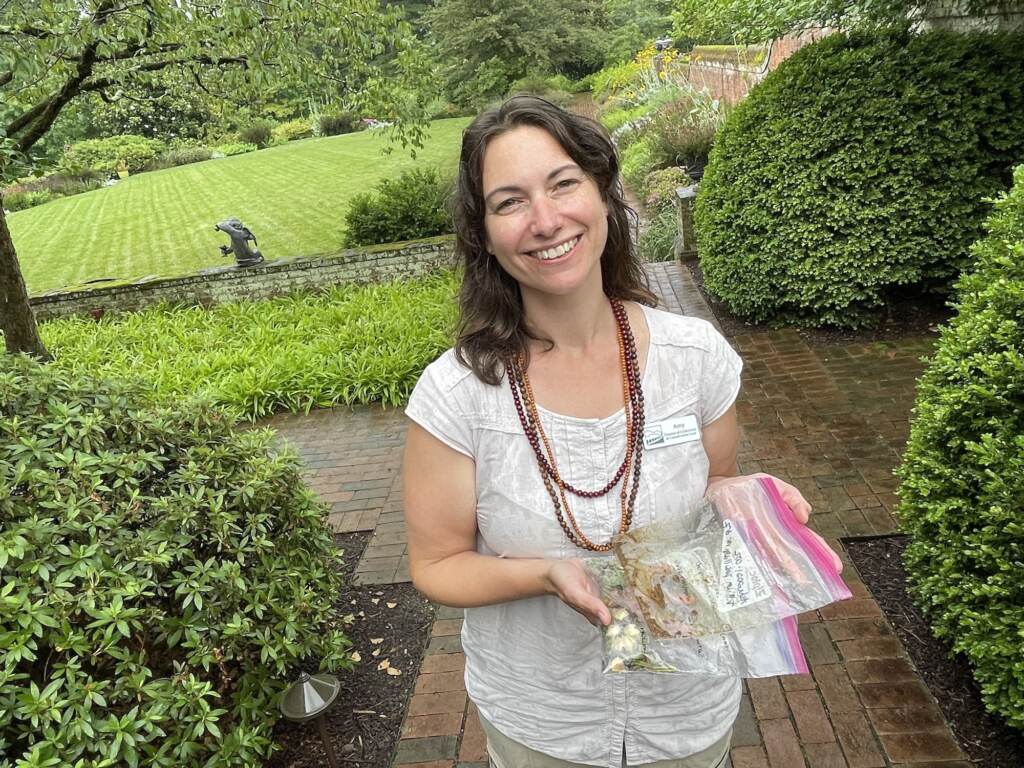 trillium_seeds_JL_081221_02 Amy Highland holds various strains of trillium
