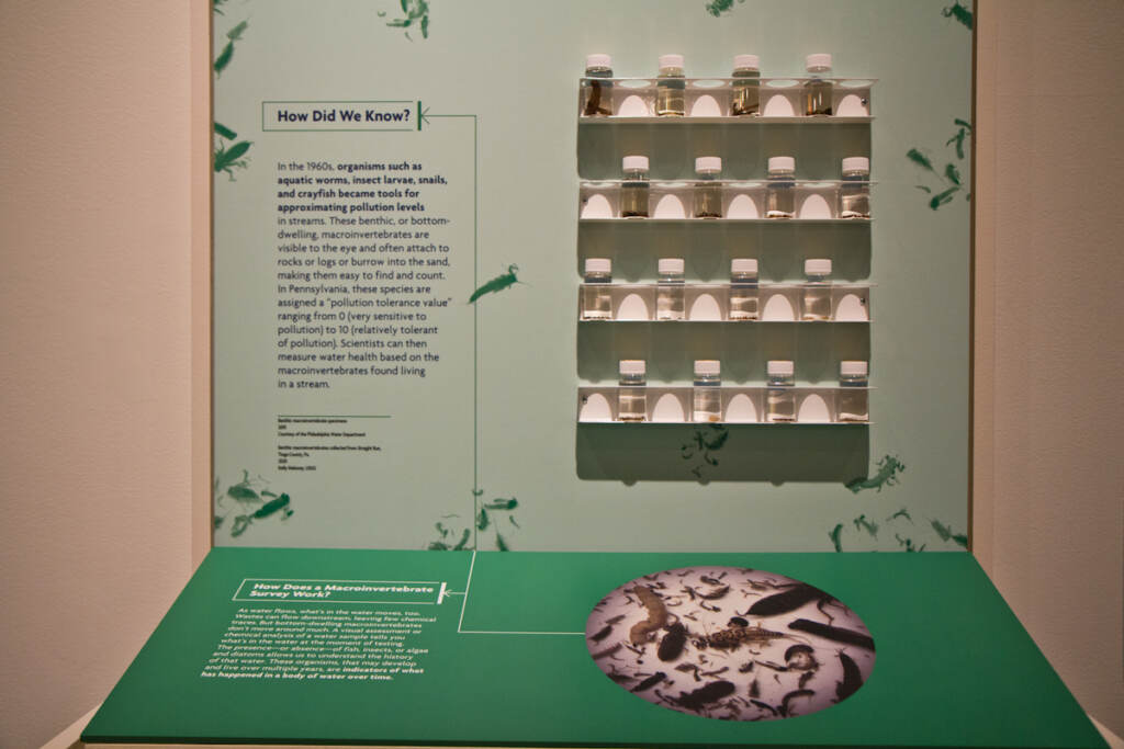 Downstream Exhibit at the Science History Institute in Philadelphia