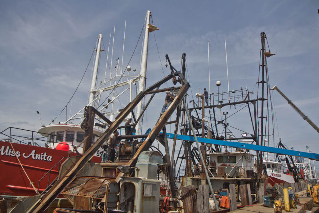 2021 09 23 k paynter wind feature-clamming-2 Men work on fishing ships at Dockside Packing in Atlantic City, N.J. (Kimberly Paynter/WHYY)
