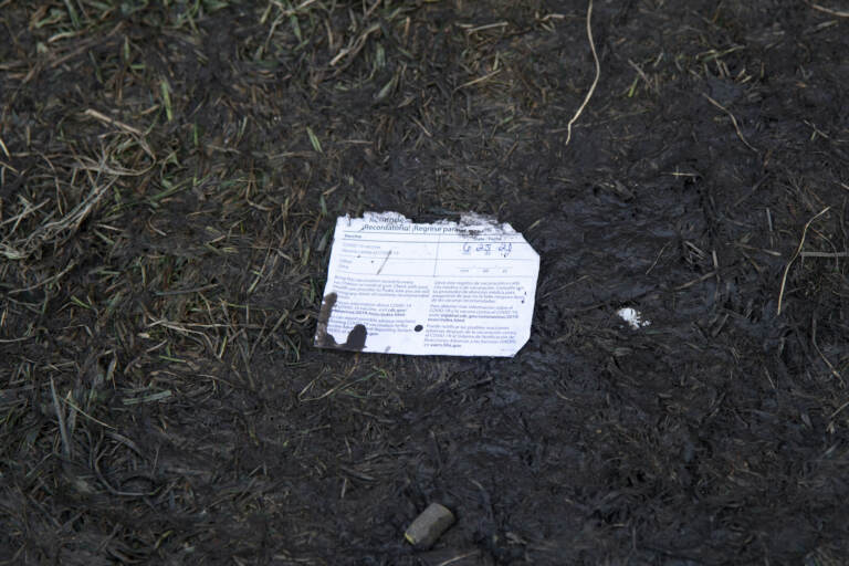 A lost and muddy COVID-19 vaccine card is seen on the ground during day two of the Lollapalooza Music Festival