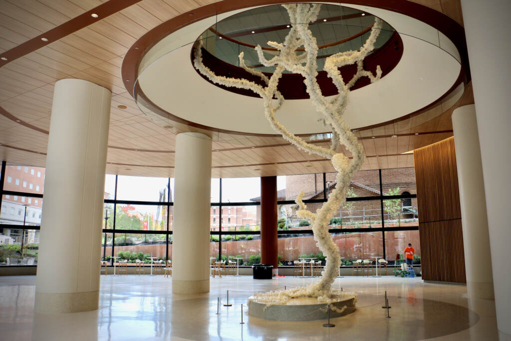 Maya Lin's sculpture, ''Decoding the Tree of Life,'' rises through the ceiling in the atrium of Penn Medicine's new Pavilion