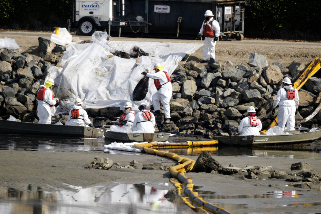 California Oil Spill Crews continue to clean the oil in the Wetlands Talbert Marsh after an oil spill in Huntington Beach, Calif., on Huntington Beach, Calif., on Monday, Oct. 4, 2021. A major oil spill off the coast of Southern California fouled popular beaches and killed wildlife while crews scrambled Sunday, to contain the crude before it spread further into protected wetlands. (AP Photo/Ringo H.W. Chiu)