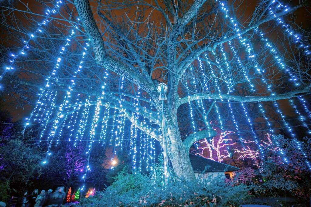 luminature_philadelphia_zoo_society_hill_films_100721 LumiNature light show