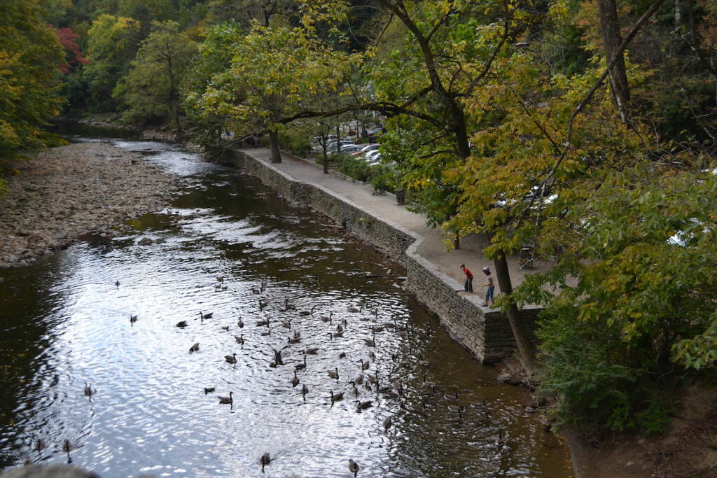 Wissahickon Valley Park.