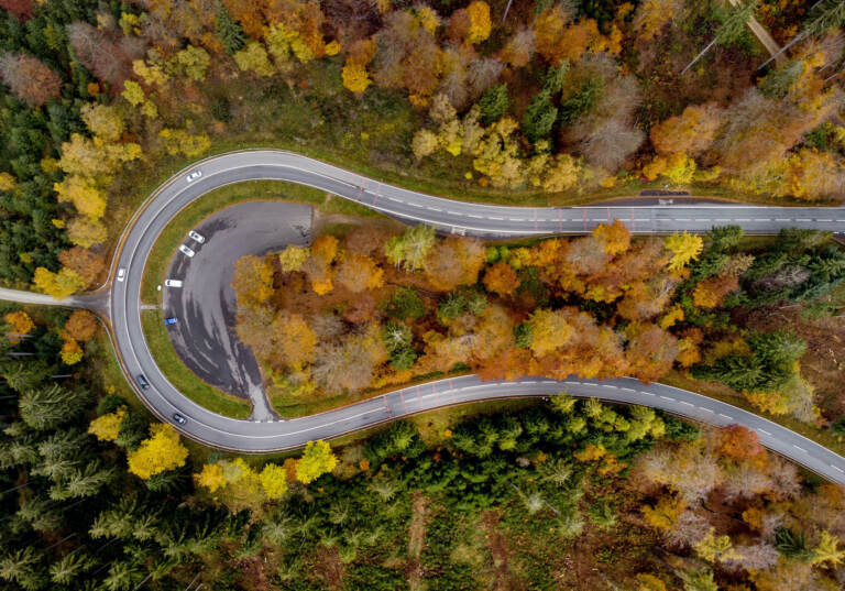 Colorful trees stand near a road through the Taunus region