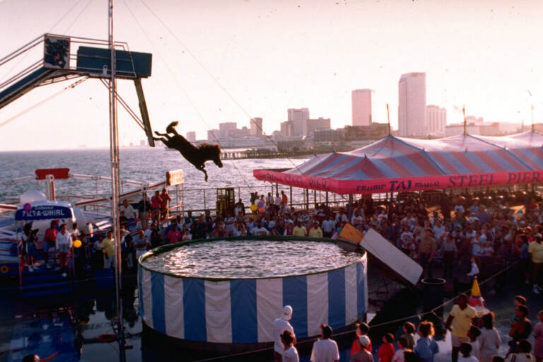 A horse makes a plunge into a six-foot pool of water on the Steel Pier in Atlantic City, N.J. (AP Photo/ Charles Rex Arbogast, File)