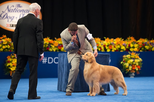 ennel Club of Philadelphia National Dog Show
