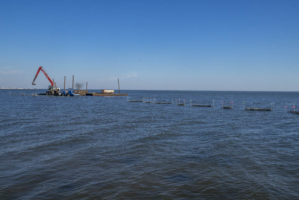 A living reef being built along the Barnegat Bay shoreline