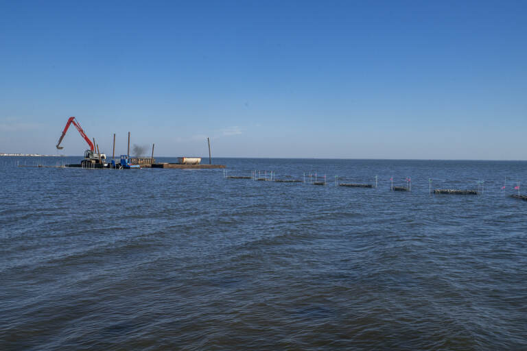A living reef being built along the Barnegat Bay shoreline