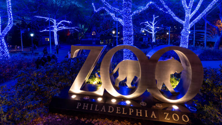 Illuminated trees behind the main Philadelphia Zoo entrance sign.