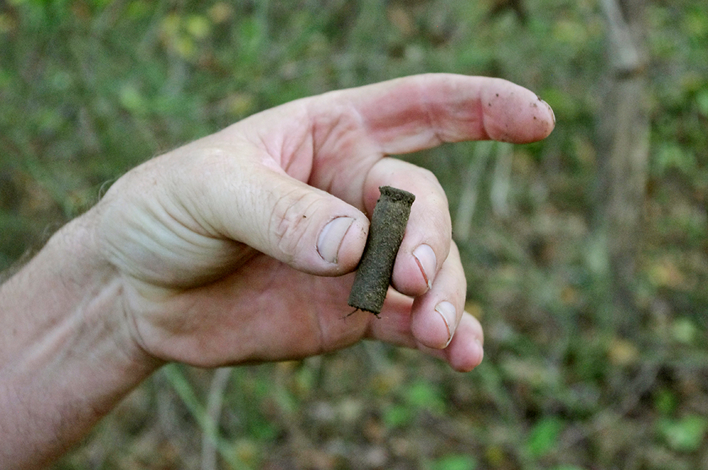 Blair Mountain Coal Battle In this Thursday Sept. 25, 2014 photo, Kenny King, 59, of Ethel, W.Va., displays a shell casing dating back to World War I on the grounds of Blair Mountain, W.Va. The Battle of Blair Mountain, a five-day skirmish between law enforcement and union miners in the coalfields of southern West Virginia, occurred here. Environmental groups, including the Sierra Club, have joined King in petitioning the National Register of Historic Places to declare Blair Mountain a historic landmark. (AP Photo/Matt Stroud)