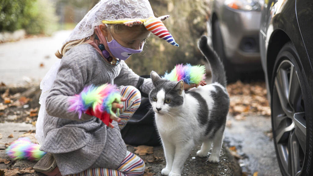 westphillyhalloween-2021-19crop A young girl dressed as a unicorn pets a cat on a Philly street