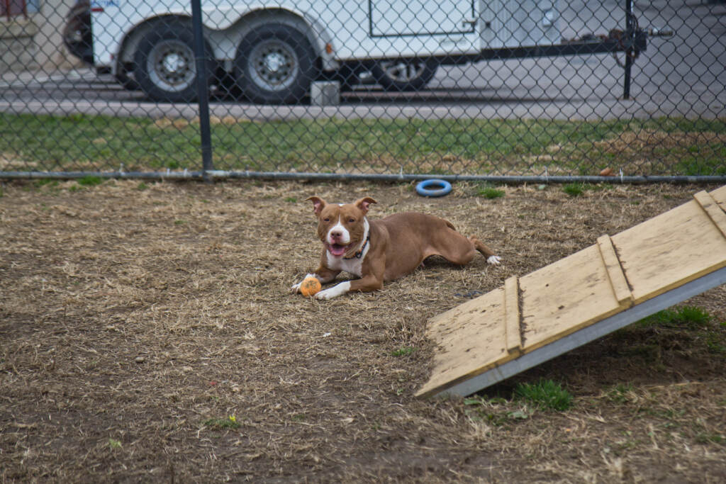 Lacey takes a break from outdoor play time