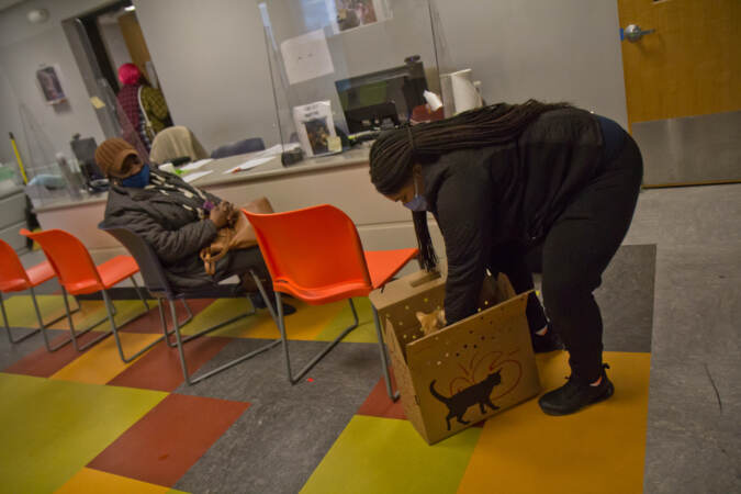 Carolyn Hall waits at ACCT Philly while her cat is pulled from a carrier