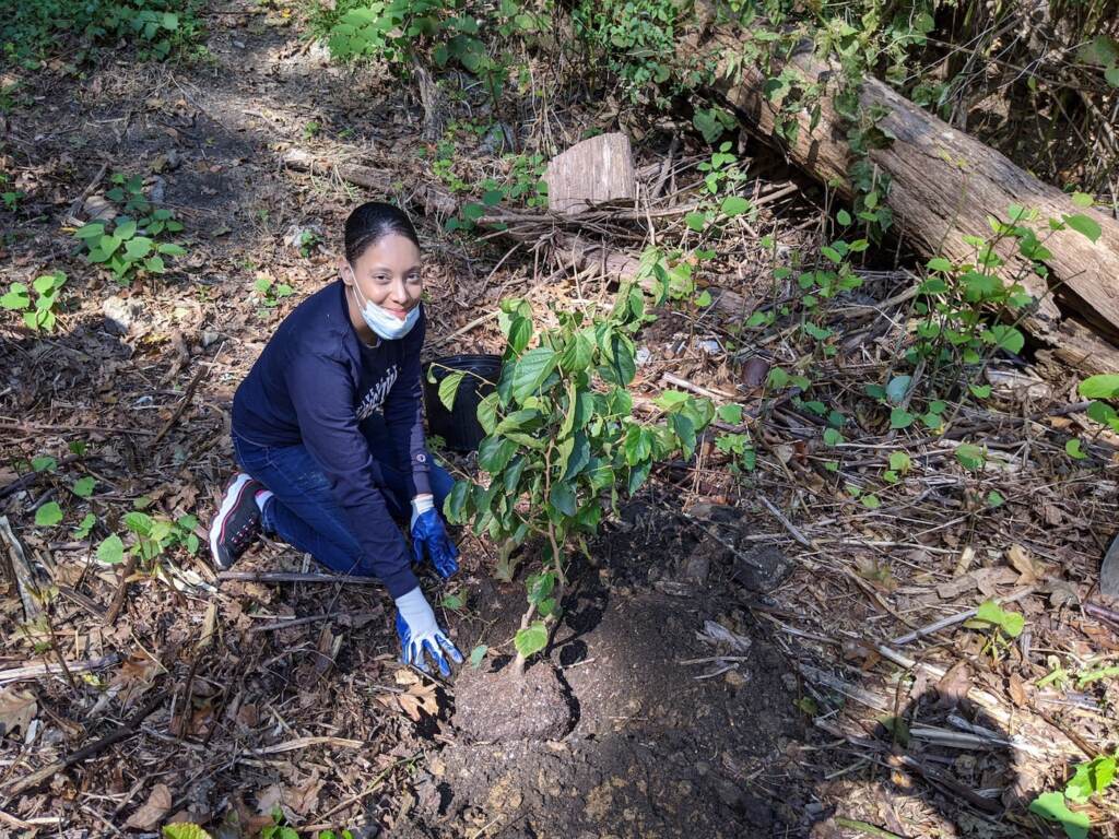 GabrielleGabrielPaez_treeplanting Gabriella Gabriel Paez plants a tree. (Courtesy of Gabriella Gabriel Paez)