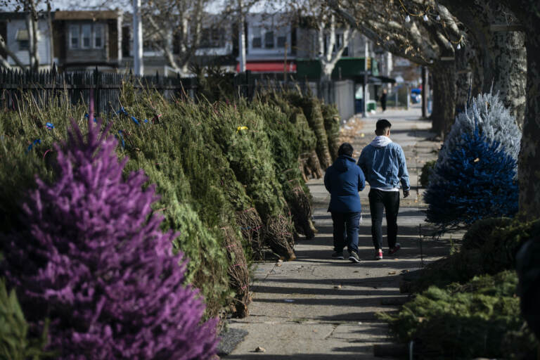 People walk among Christmas trees lining the sidewalk at the Tree Junction stand