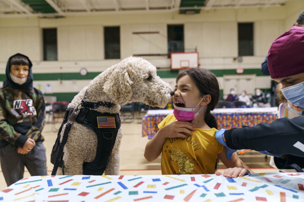 APTOPIX Virus Outbreak Leanna Arcilais licked by Watson, a therapy dog, as she gets a COVID-19 vaccine