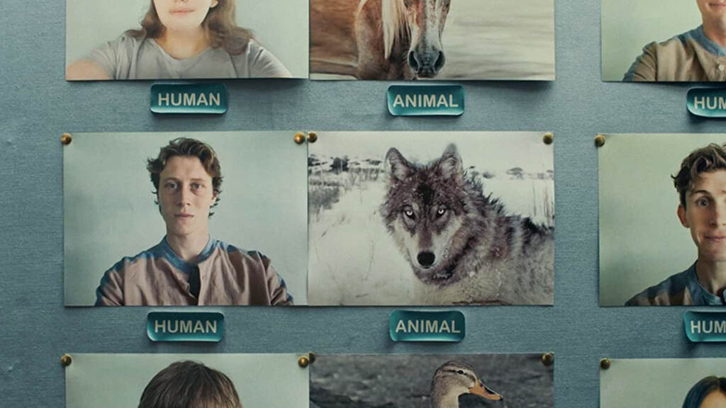 flicks-wolf A photo of George MacKay as Jacob with the word
