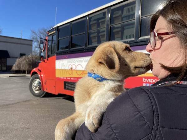 A puppy gives a person a kiss while being held