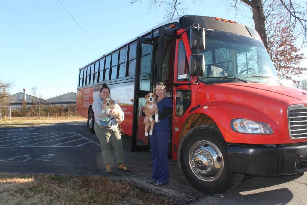 Two people standing outside a rescue bus each hold up a dog