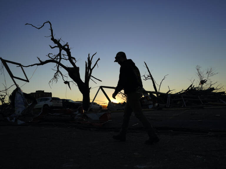 A cleanup worker walks past damaged trees
